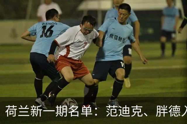 荷兰新一期名单：范迪克、胖德入选，廷伯回归