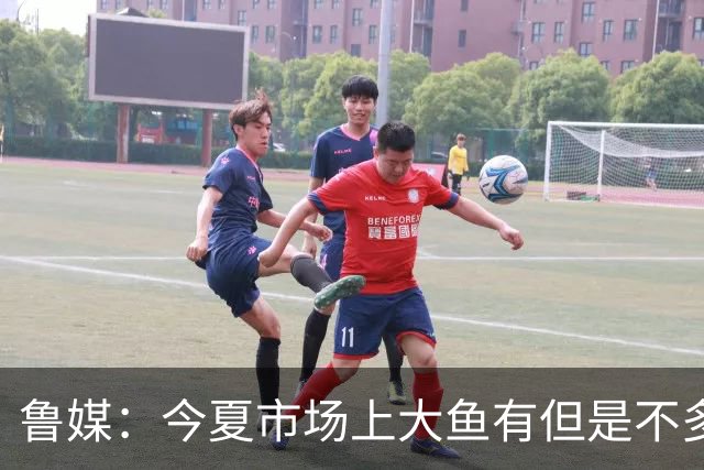 鲁媒：今夏市场上大鱼有但是不多 听说有南方球队会放出几个队员